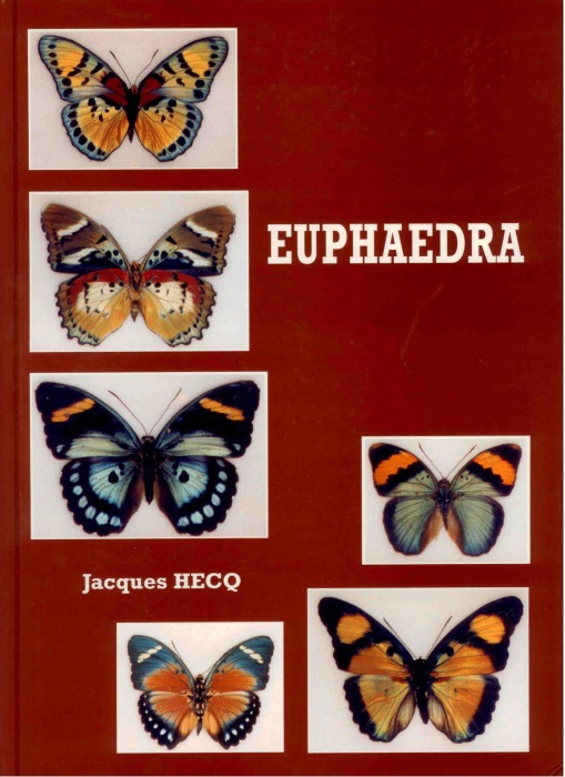 Hecq, J. - Euphaedra