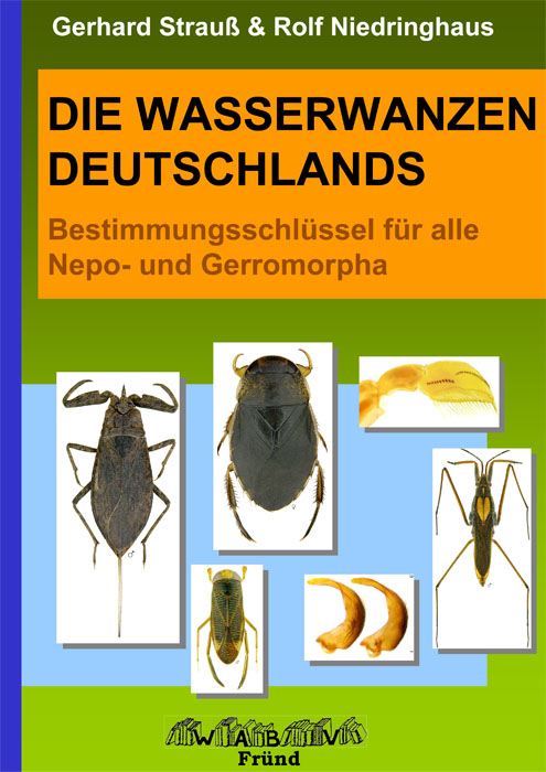 Strau, G.; Niedringhaus, R. - Die Wasserwanzen Deutschlands: Bestimmungsschlssel fr alle Nepo- und Gerromorpha