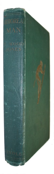 Jones, F. Wood - Arboreal Man