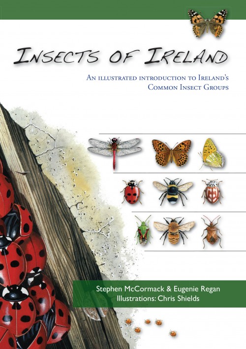 McCormack, S.; Regan, E. - Insects of Ireland: An Illustrated Introduction to Ireland's Common Insect Groups