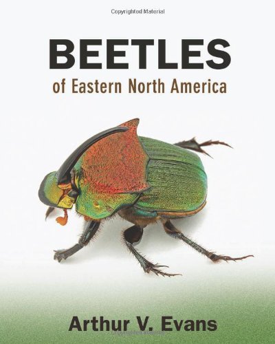 Evans, A.V. - Beetles of Eastern North America