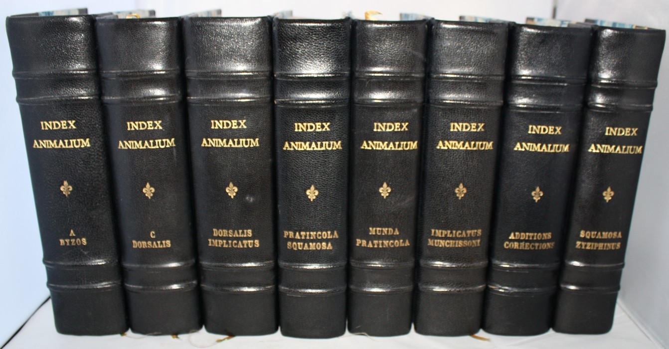 Sherborn, C.D. - Index Animalium sive index nominum quae ab A.D. MDCCLVIII generibus et speciebus animalium imposita sunt. Sectio Secunda, 1801-1850. Pt 1-33