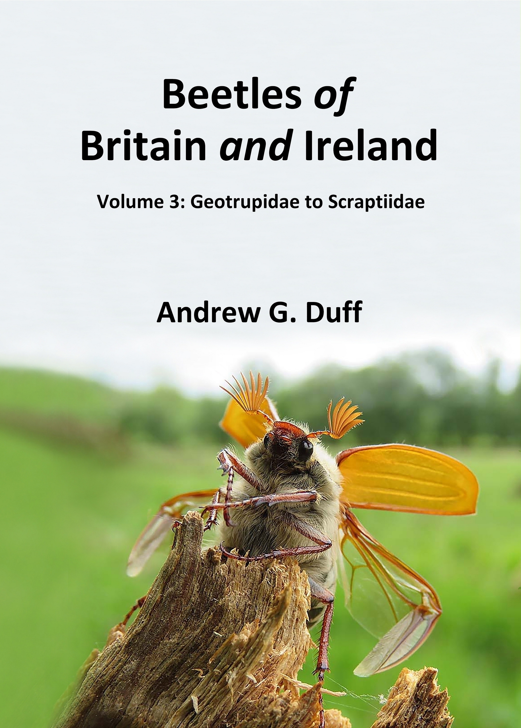 Duff, A.G. - Beetles of Britain and Ireland. Vol. 3: Geotrupidae to Scraptiidae