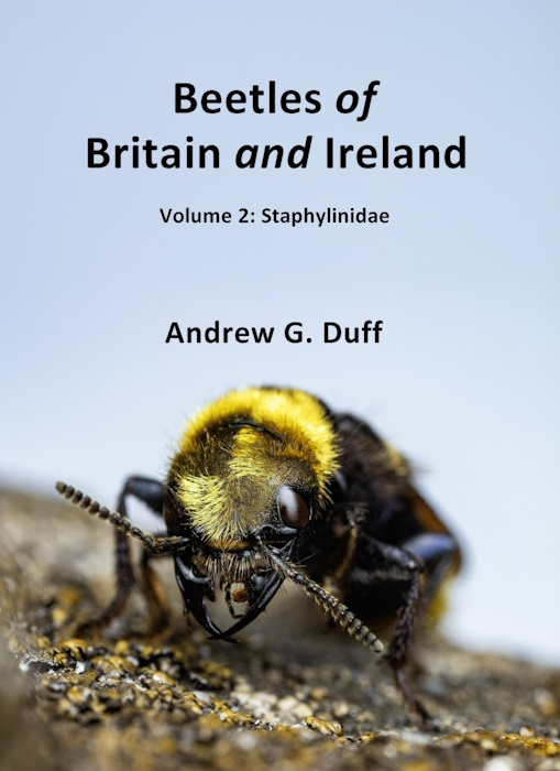 Duff, A.G. - Beetles of Britain and Ireland. Vol. 2: Staphylinidae