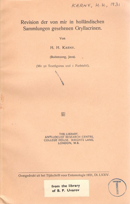 Karny, H.H. - Revision der von mir in hollndischen Sammlungen gesehenen Gryllacrinen
