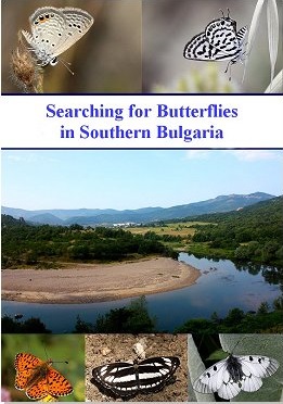 Wetton, P. - Searching for Butterflies in Southern Bulgaria