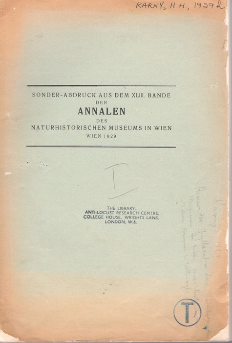 Karny, H.H. - Revision der Gryllacriden des Naturhistorischen Museums in Wien einschlielich der Collection Brunner v. Wattenwyl