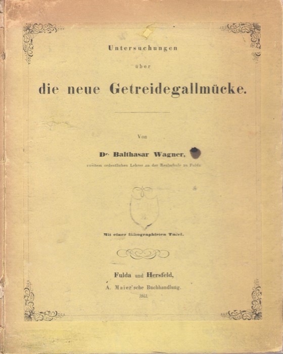 Wagner, B. - Untersuchungen ber die neue Getreidegallmcke