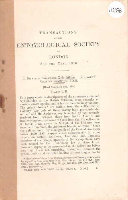Champion, C.G. - On New or Little-Known Xylophilidae
