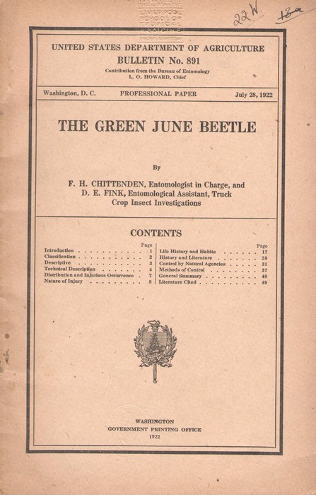 Chittenden, F.H.; Fink, D.E. - The Green June Beetle