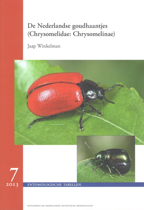 Winkelman, J. - De Nederlandse goudhaantjes (Chrysomelidae)