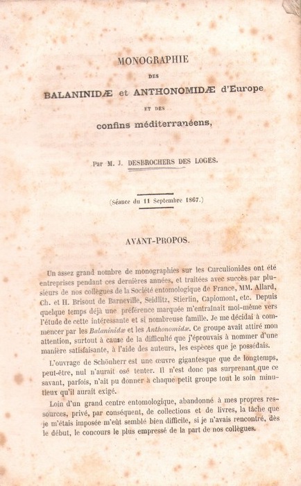 Desbrochers des Loges, J. - Monographie des Balaninid et Anthonomid d'Europe et des confins meditrranens