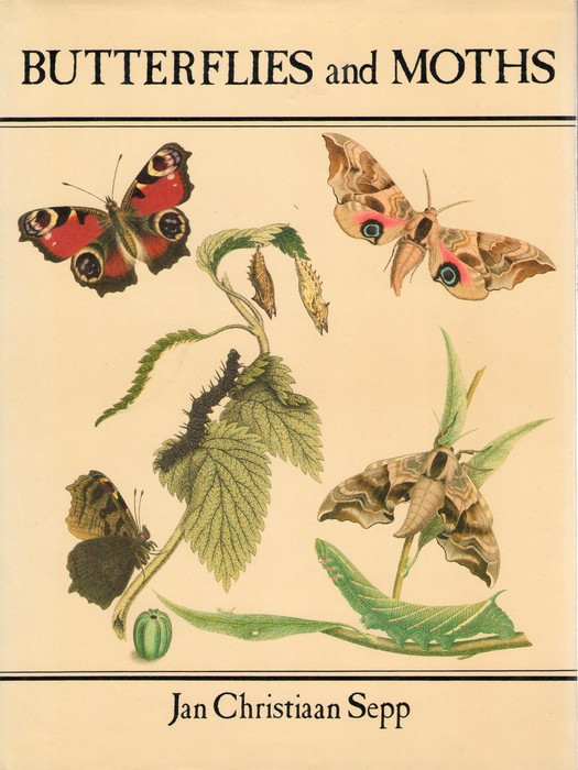 Sepp, C.; Sepp, J.C.; McNeill, S. - Butterflies and Moths