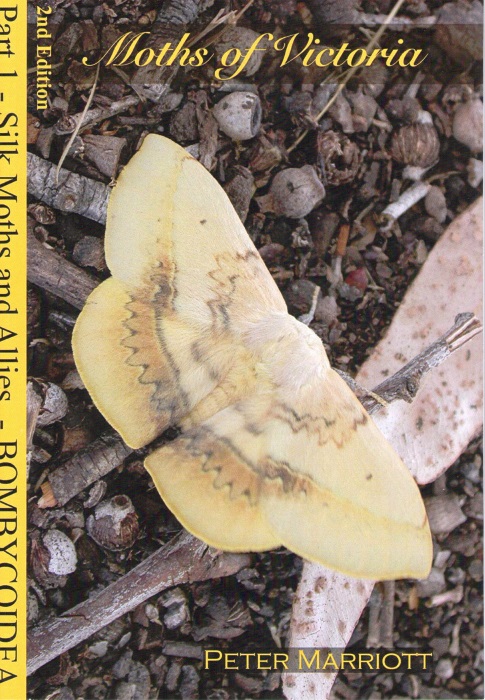 Marriott, P. - Moths of Victoria Pt 1: Bombycoidea - Silk Moths and Allies