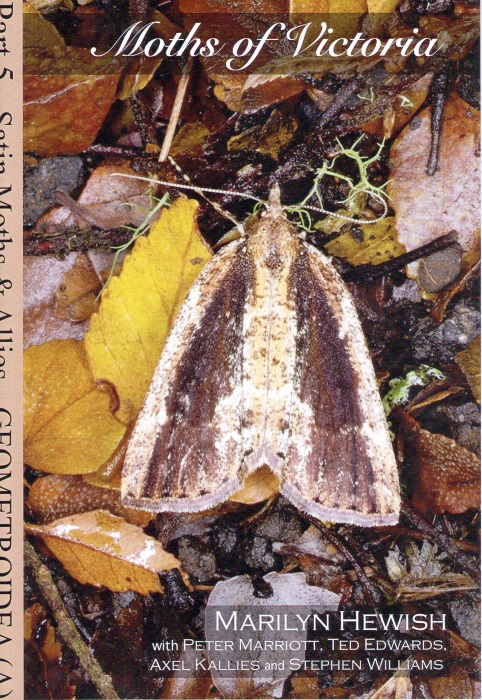 Hewish, M.; Marriott, P.; Edwards, T.; Kallies, A.; Williams, S. - Moths of Victoria Pt 5: Geometroidea (A) (Geometridae: Ennominae - Nacophorini) - Satin Moths & Allies