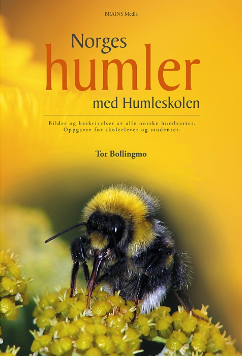 Bollingmo, T. - Norges humler: med Humleskolen