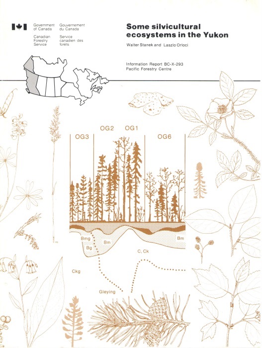 Stanek, W,; Orloci, L. - Some silvicultural ecosystems in the Yukon