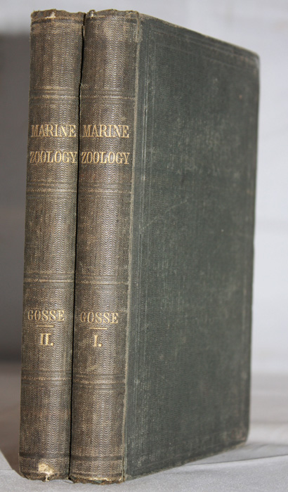 Gosse, Philip Henry - A Manual of Marine Zoology for the British Isles. Part I-II