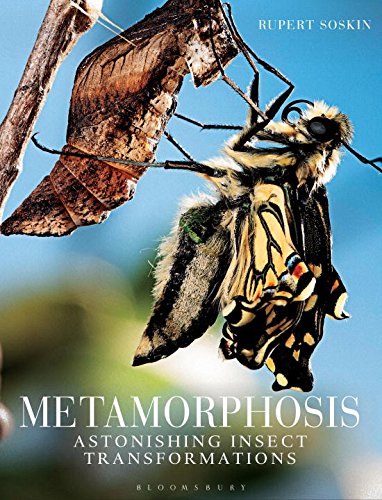 Soskin, R. - Metamorphosis: Astonishing insect transformations