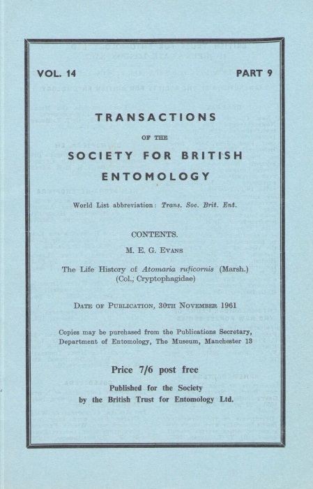 Evans, M.E.G - Life History of Atomaria ruficornis (Marsh.) (Col., Crytopgagidae)