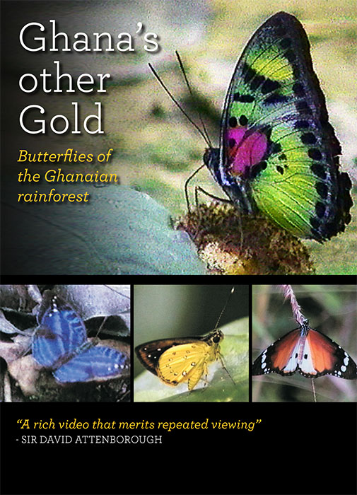 Banks, J. - Ghana's other Gold: Butterflies of the Ghanaian rainforest (DVD)
