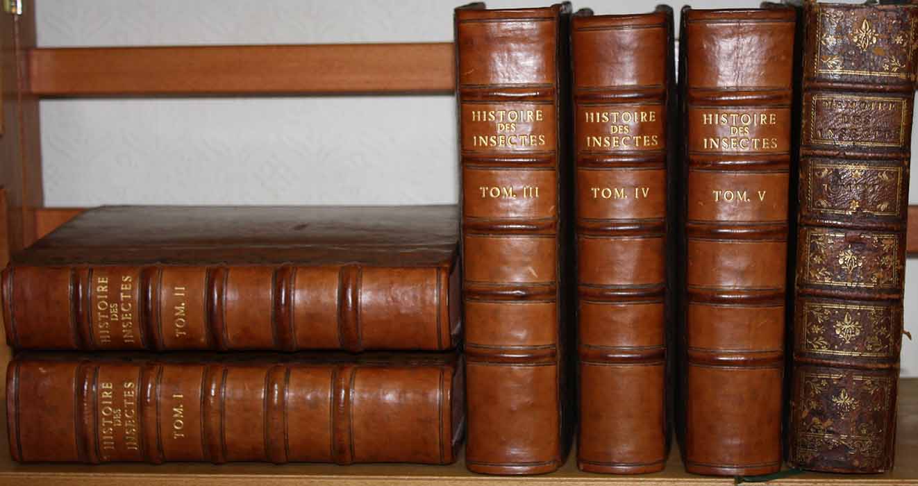 Reaumur, R.A.F. de - Mmoires pour servir  l'histoire des Insectes. Vol. I-VI