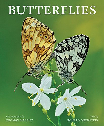 Orenstein, R.; Marent, T. - Butterflies