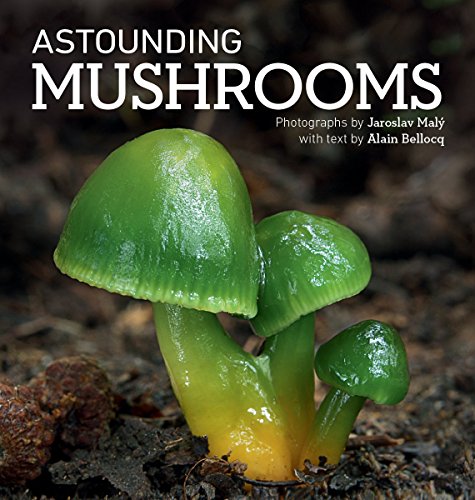 Bellocq, A; Maly, J. - Astounding Mushrooms