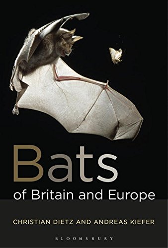 Dietz, C.; Kiefer, A. - Bats of Britain and Europe