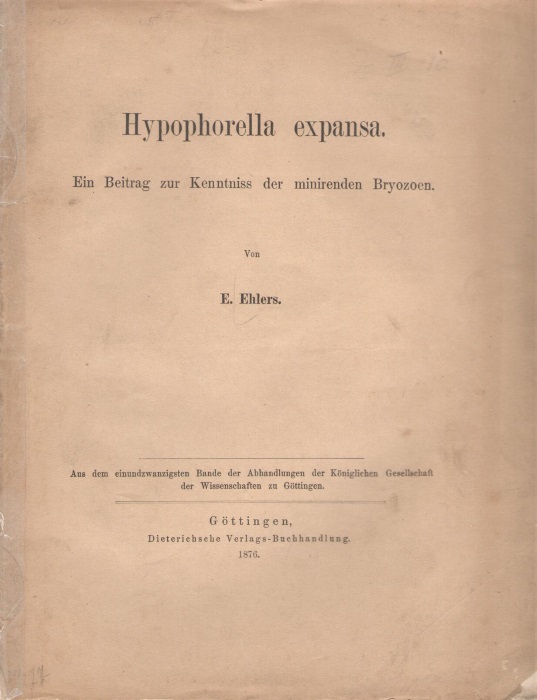 Ehlers. E. - Hyphoporella expansa. Ein Beitrag zur Kenntnis der minirenden Bryozoen