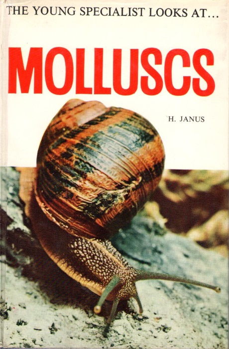 Janus, H. - Young Specialist Looks at Land and Freshwater Molluscs