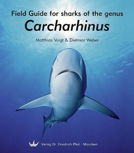 Voigt, M.; Weber, D. - Field Guide for Sharks of the Genus Carcharhinus