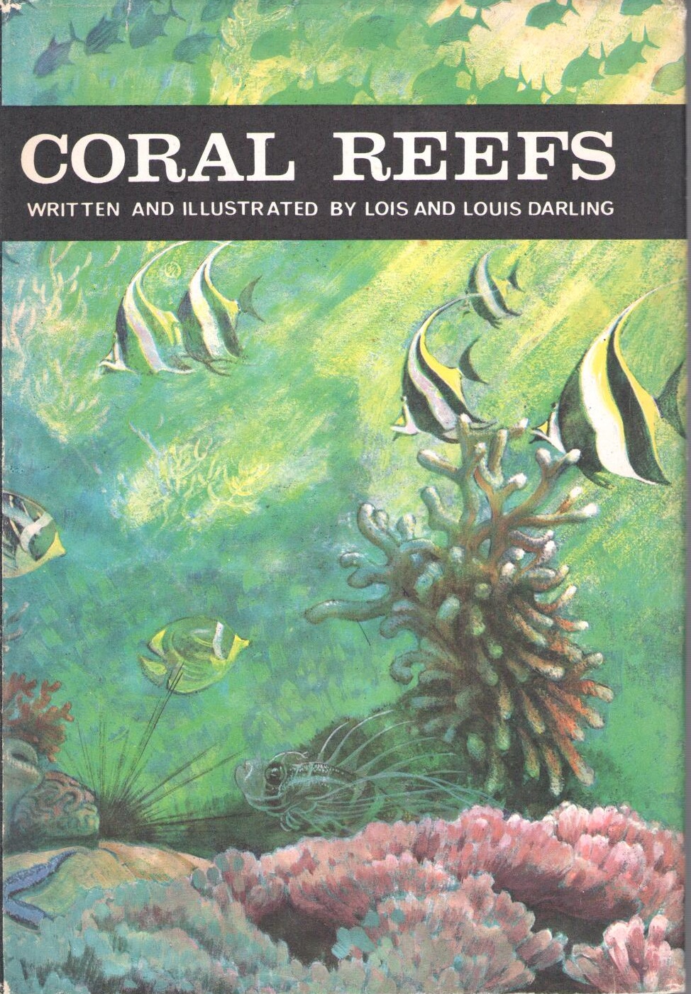 Darling, L.; Darling, L. - Coral Reefs