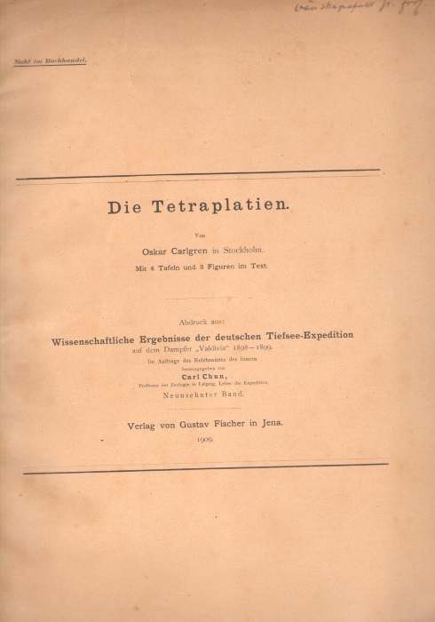 Carlgren, O. - Die Tetraplatien