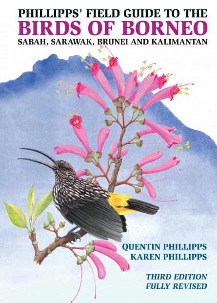 Phillipps, Q.; Phillipps, K. (Illus) - Phillipps Field Guide to the Birds of Borneo: Sabah, Sarawak, Brunei and Kalimantan