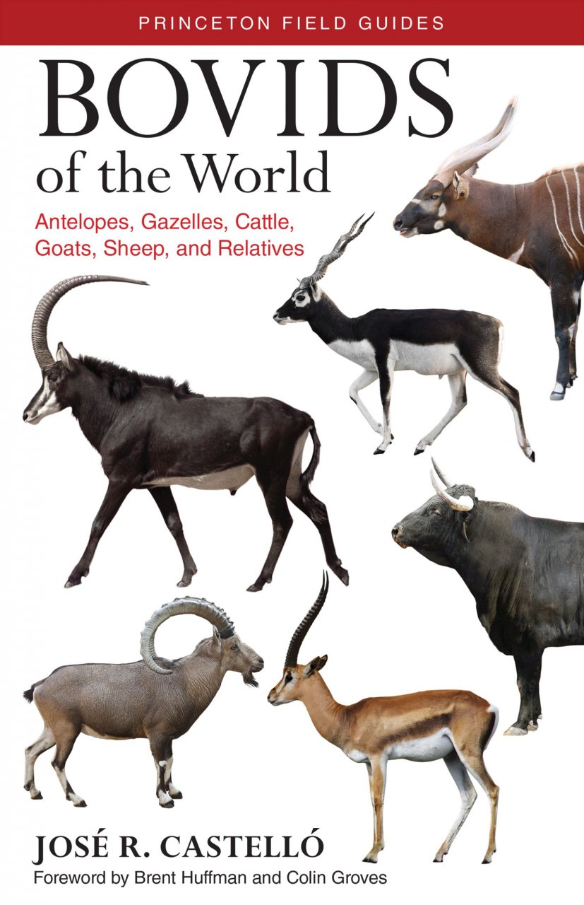 Castello, J.R. - Bovids of the World: Antelopes, Gazelles, Cattle, Goats, Sheep, and Relatives