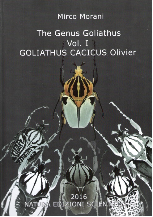 Morani, M. - The Genus Goliathus I: Goliathus cacicus (Olivier, 1789)