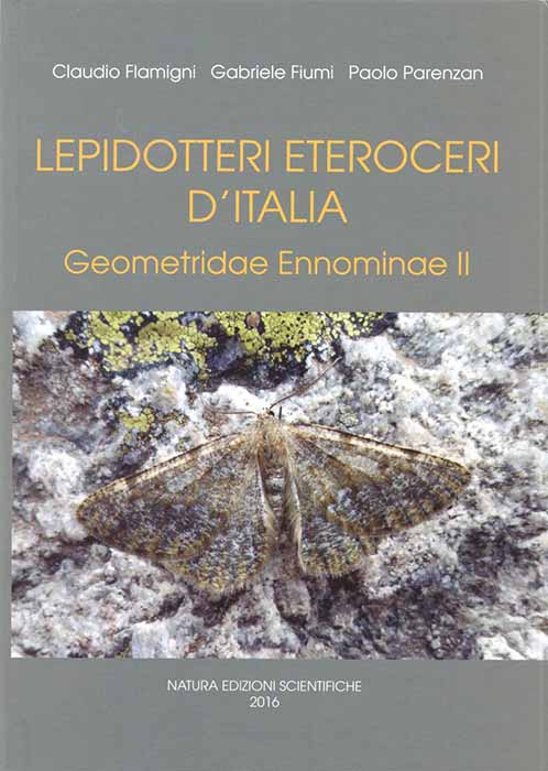 Flamigni, C.; Fiumi, G.; Parenzan, P. - Lepidotteri Eteroceri d'Italia: Geometridae Ennominae II