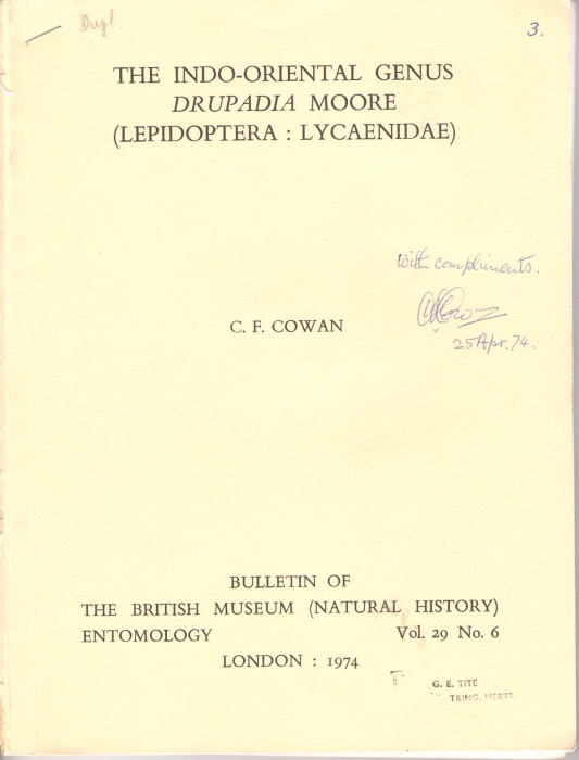 Cowan, C.F. - The Indo-Oriental Genus <i>Drupadia</i> Moore (Lepidoptera: Lycaenidae)