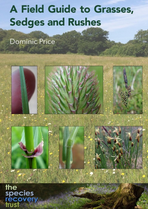 Price, D. - Field Guide to Grasses, Sedges and Rushes