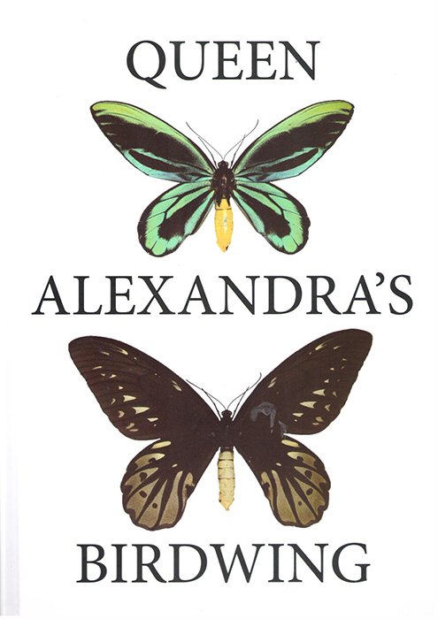 Mitchell, D.K.; Dewhurst, C.F.; Tennent, W.J.; Page, W.W. - Queen Alexandra's Birdwing Butterfly Ornithoptera alexandrae (Rothschild, 1907): a review and conservation proposals