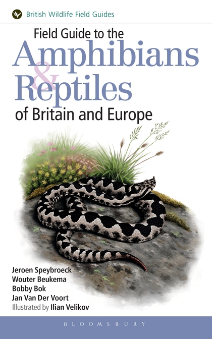 Speybroek, J.; Beukema, W.; Bok, B.; Voort, J. van der; Velikov, I. (Illus) - Field Guide to the Amphibians and Reptiles of Britain and Europe