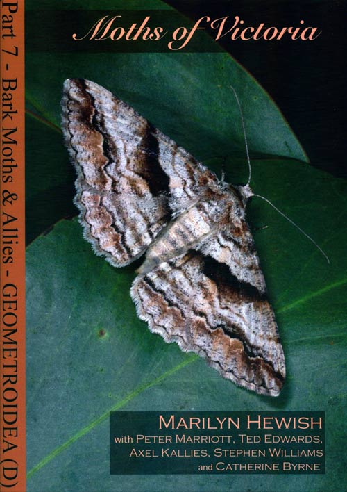 Hewish, M. et al. - Moths of Victoria Pt 7: Geometroidea (D) (Geometridae - Ennominae) - Bark Moths and Allies