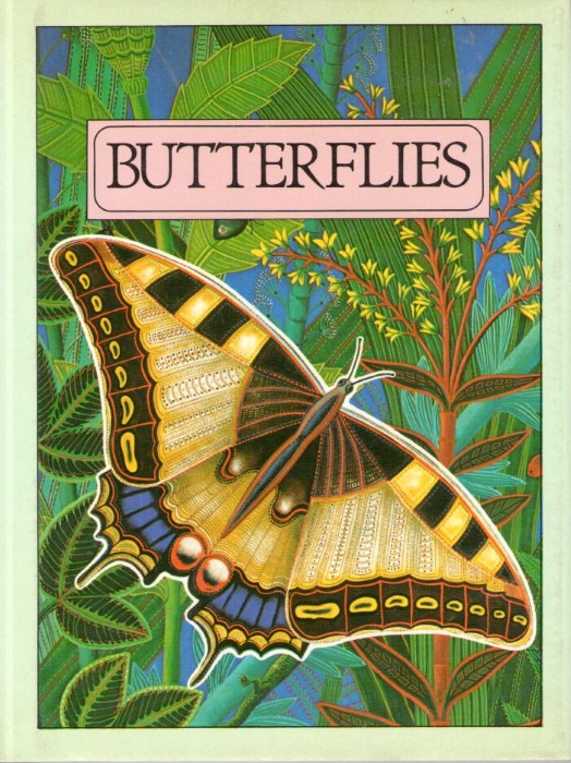 Sonntag, L. - Butterflies