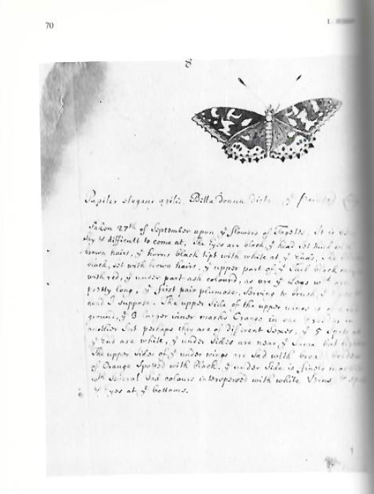 Jessop, L. (Ed.) - Notes on Insects, 1692 & 1695 by Charles duBois