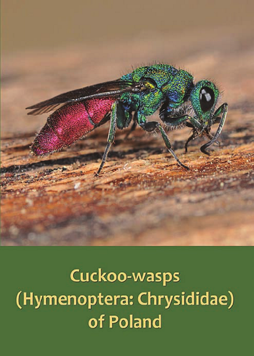 Wisniowski, B. - Cuckoo-wasps (Hymenoptera: Chrysididae) of Poland