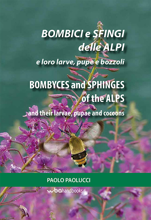 Paolucci, P. - Bombyces and Sphinges of the Alps and their larvae, pupae and cocoons