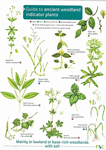 Hotchkiss, A.; Harper, L. (Illus) - Ancient Woodland indicator Plants (Identification Chart)