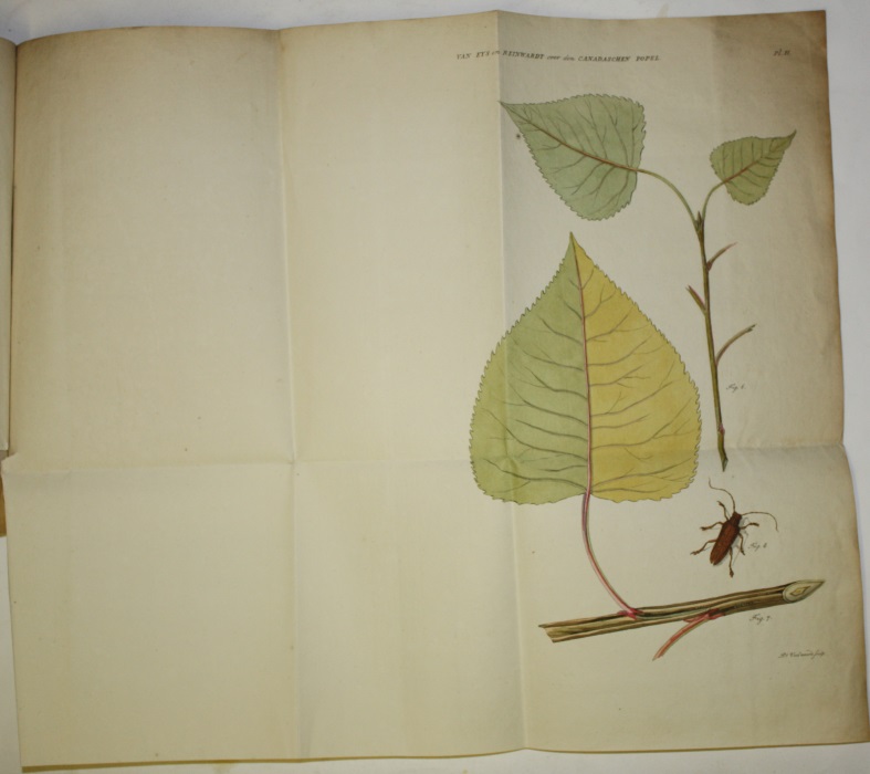 Eys, J.N van; Reinwardt, C.G.C. - Over de eigenschappen en het nut van den Kanadaschen Popel (Populus monilifera Ait.)