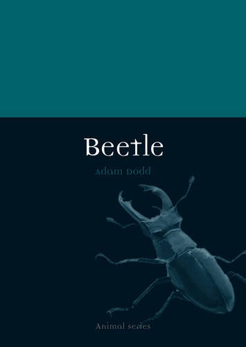Dodd, A. - Beetle